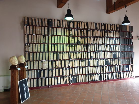 Pubblicato l’avviso per creare la lista di collaboratori occasionali del Cidma