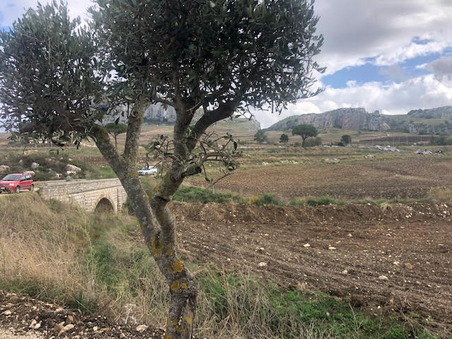 Commemorato il pediatra Liotta: morì un anno fa a causa dell’alluvione