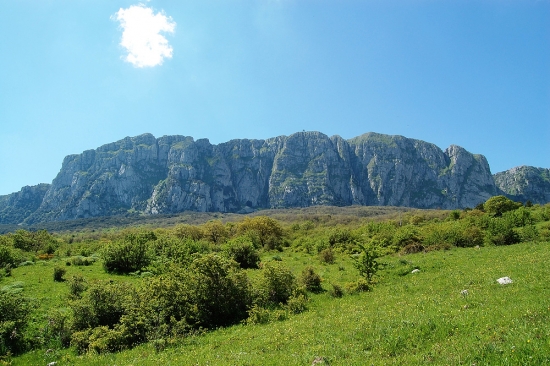 Riserva naturale di Ficuzza