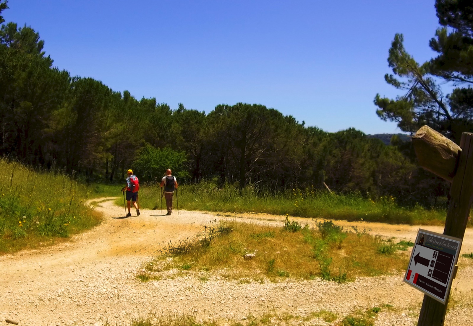 Il Cammino di San Bernardo entra nell’Atlante regionale dei Cammini