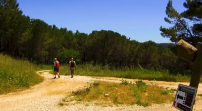 Cammino inaugurale del progetto “Sulle orme di San Bernardo. Cammini di fede, arte e natura”.