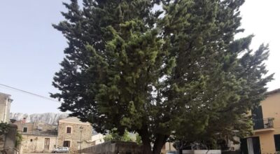 Ficuzza, sì al progetto per il restyling dell’abbeveratoio