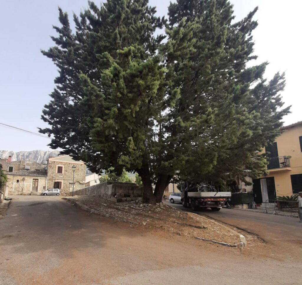 Ficuzza, via libera definitivo al progetto per il recupero dell’abbeveratoio