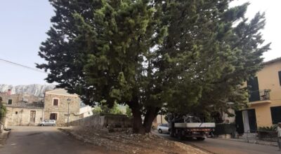 Ficuzza, via libera definitivo al progetto per il recupero dell’abbeveratoio