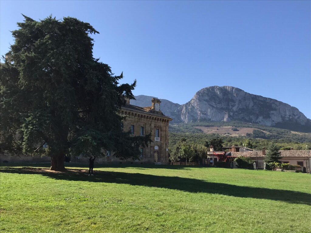 Quasi 3 milioni di euro per il Complesso di Sant’Agostino e un parco avventura a Ficuzza